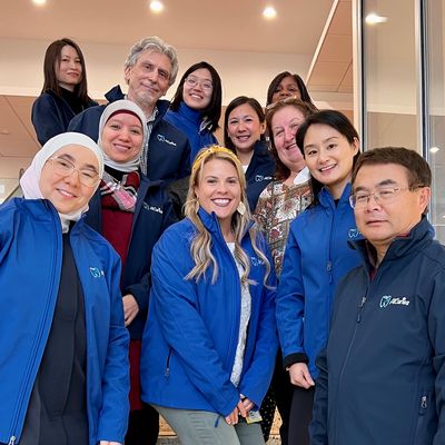HEPSO team original