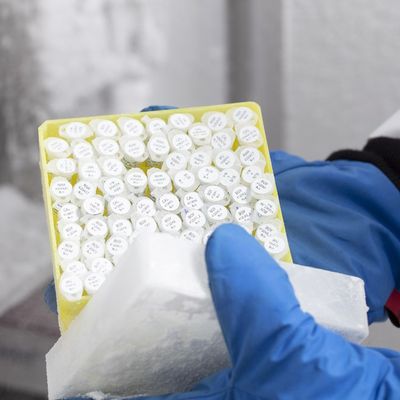 Wilmot Cancer Institute Biobank Shared Resource