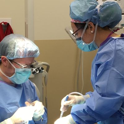 cwong surgery smaller