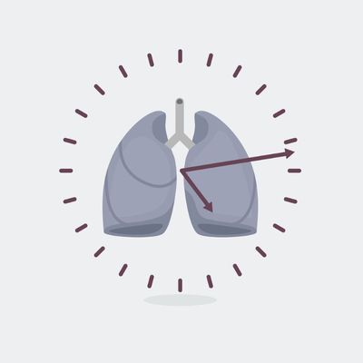Biological clock and lungs