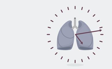 Biological clock and lungs