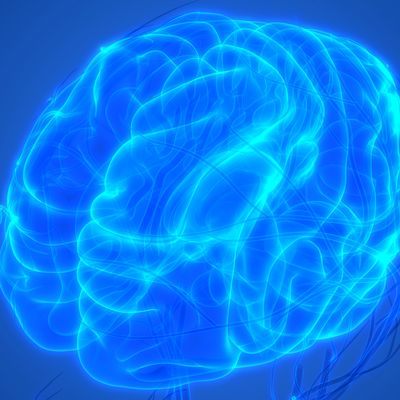 AI helps show how the brain’s fluids flow