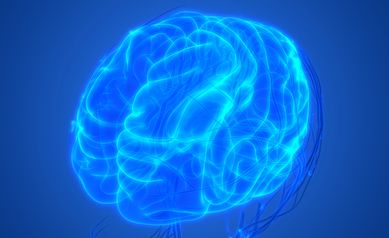 AI helps show how the brain’s fluids flow