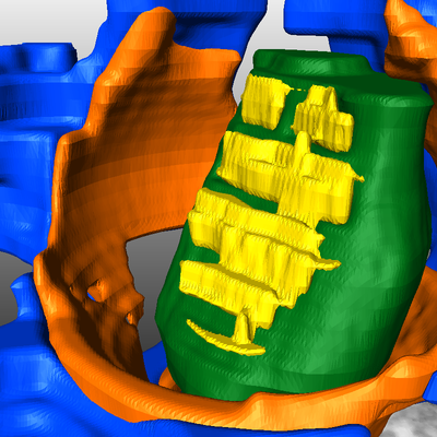 PNAS synapse