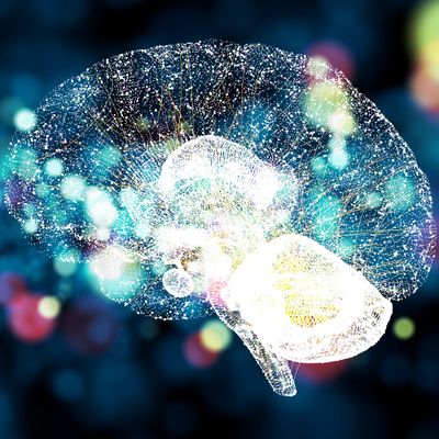neuronext