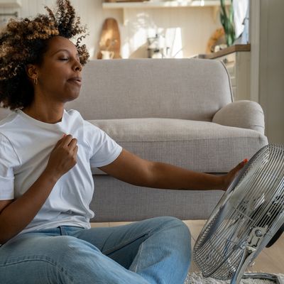 Hot Flashes, Vaginal Dryness: Is Endocrine Therapy Worth It for Breast Cancer?