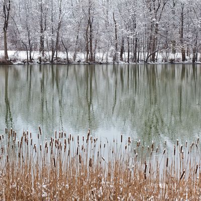 How to Fight the Winter Blues and Seasonal Affective Disorder (SAD) This Winter
