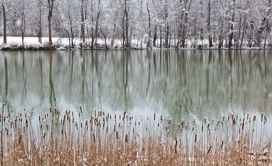 How to Fight the Winter Blues and Seasonal Affective Disorder (SAD) This Winter