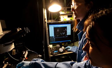 Transforming Intellectual and Developmental Disabilities Research