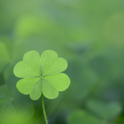 Don’t Leave Your Health Up To Luck