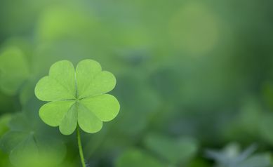 Don’t Leave Your Health Up To Luck