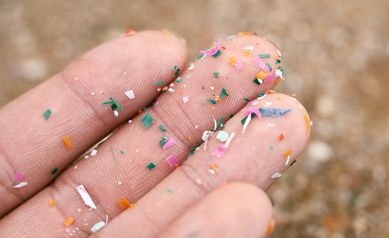 Microplastics Research Hub Aims to Unravel Health Impact in Changing Climate
