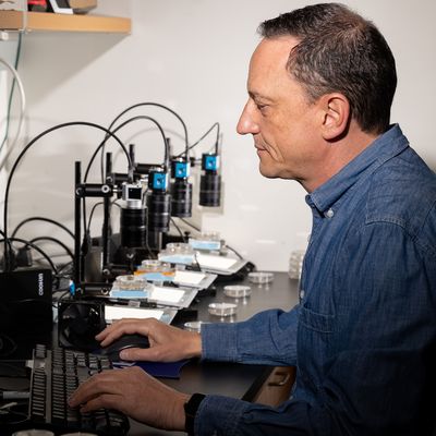 URMC Biomedical Genetics Professor named a fellow of the AAAS