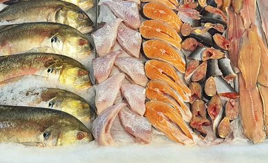 fish market
