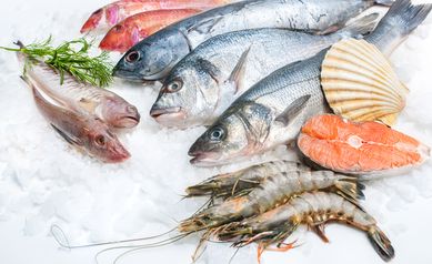 fish market