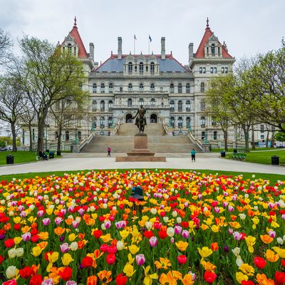 ACOG District II Weighs in on Prop I