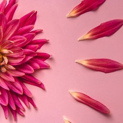 Dr. Doyle’s 585 Menopause Clinic: Now Open!