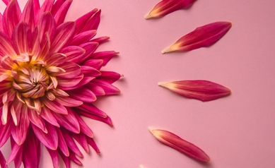 Dr. Doyle’s 585 Menopause Clinic: Now Open!