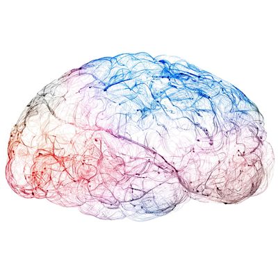 brain science signaling_11zon