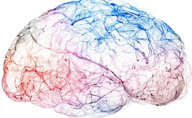 brain science signaling_11zon