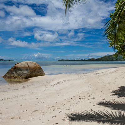 Seychelles beach