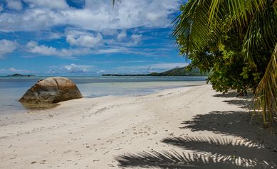 Seychelles beach