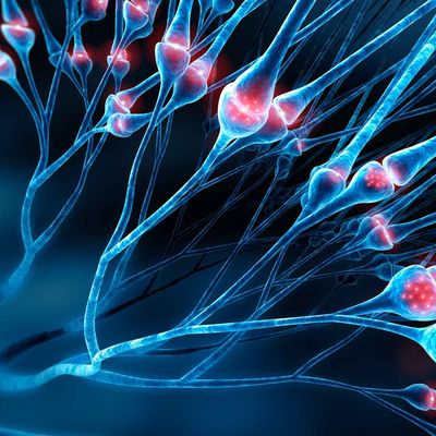 Simple Test Brings Clarity and Hope for Families with Inherited Neuropathy