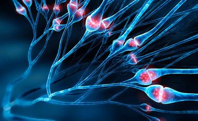 Simple Test Brings Clarity and Hope for Families with Inherited Neuropathy