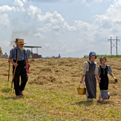 Farm-Living Families Develop Earlier Immune Maturation Against Food Allergies