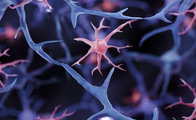 Brain Immune Cells May Drive More Damage in Females than Males with Alzheimer’s
