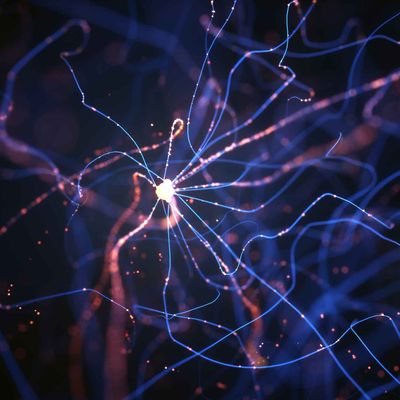 motor neurons_11zon