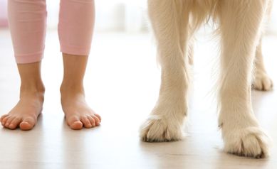 Dog Bites and Kids: What to Do (and Say) If It Happens
