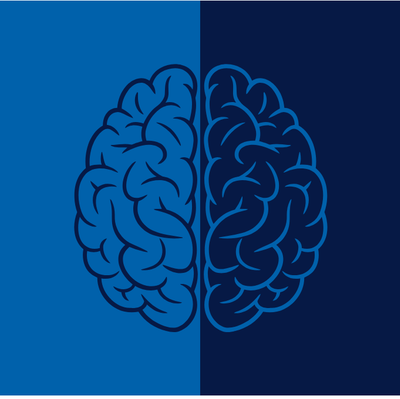 Researchers Find “Forever Chemicals” Impact the Developing Male Brain