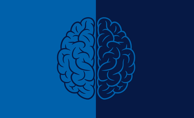 Researchers Find “Forever Chemicals” Impact the Developing Male Brain