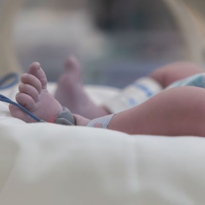 Early Antibiotics Alter Immune Function in Infants 