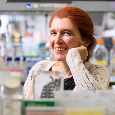University of Rochester Awarded Prestigious Aging Research Center Grant