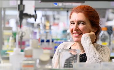 University of Rochester Awarded Prestigious Aging Research Center Grant