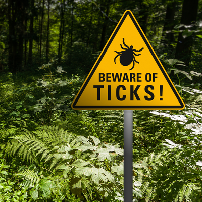 Lyme Disease: Prevention and Symptoms