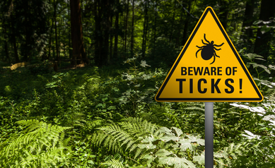 Lyme Disease: Prevention and Symptoms