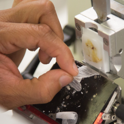 histotech program