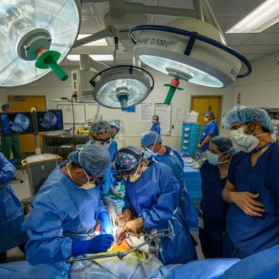 Transplant team