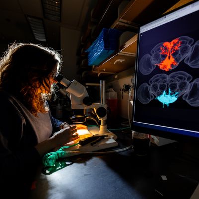 The Interstate of Science: Merging Neuroscience and AI