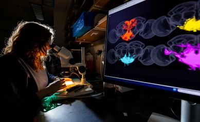 The Interstate of Science: Merging Neuroscience and AI
