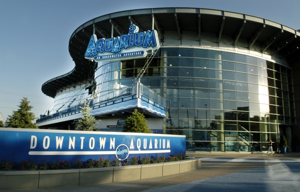 aquarium082