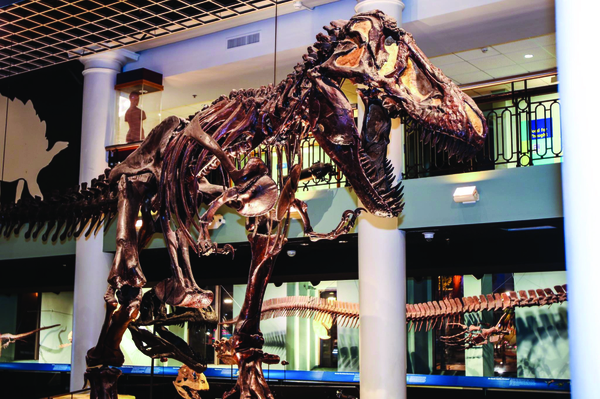 Dino_Hall