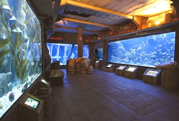 DowntownAquarium-sunkenhull