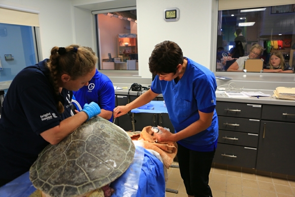 CMA_surgery