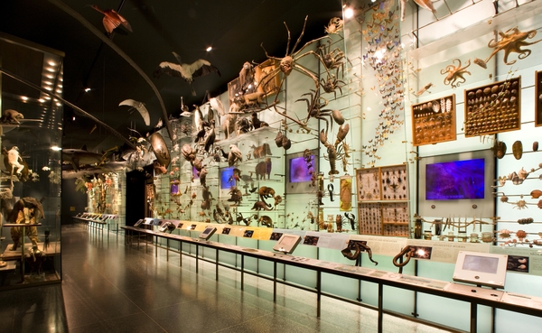 Biodiversity_1_RM
