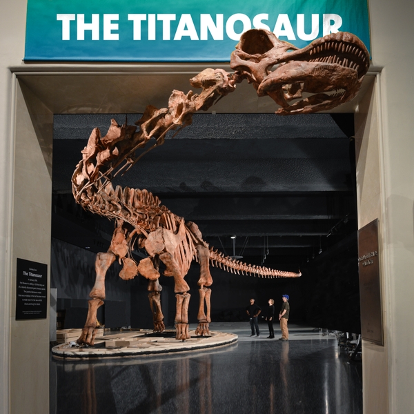 11. Titanosaur overview_DF