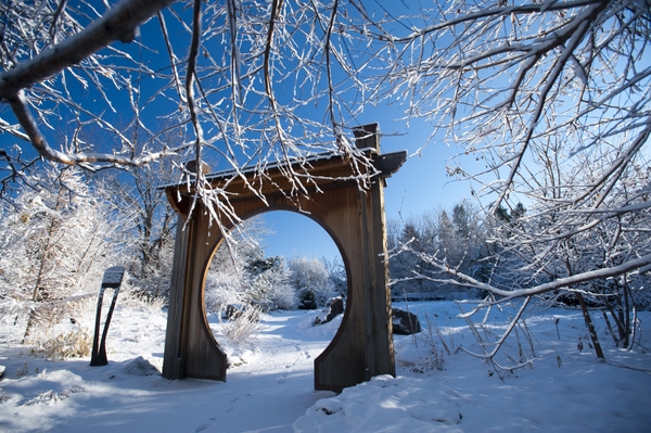 20120108_snow_128